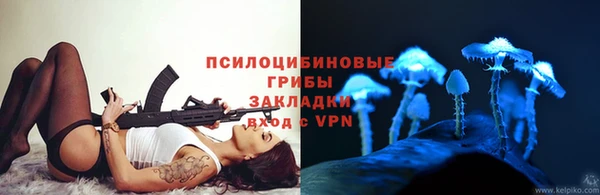 молекула духа Пролетарск