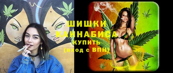 молекула духа Пролетарск