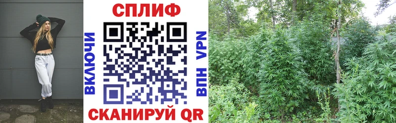 Конопля план Байкальск
